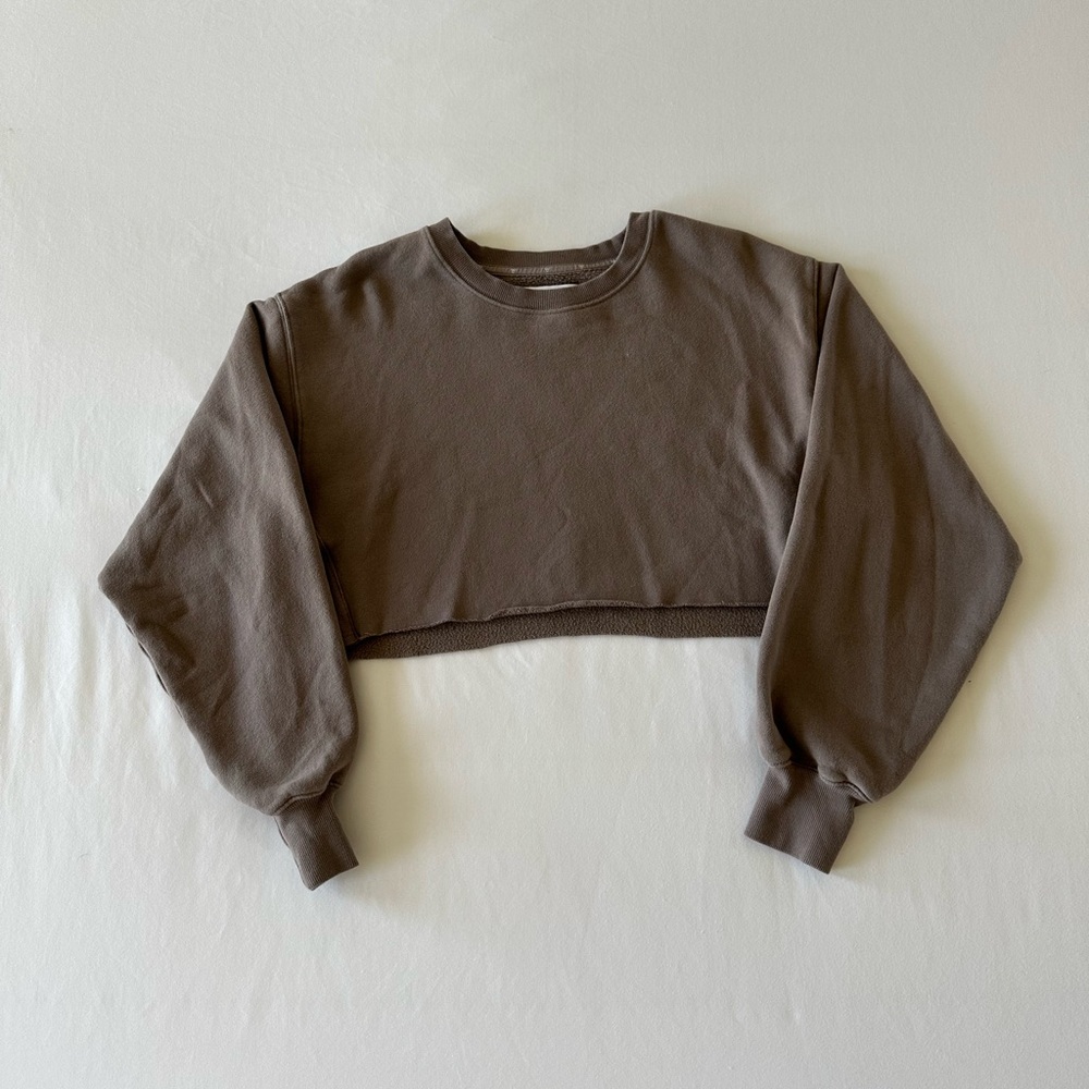 Aritzia Sweatshirt